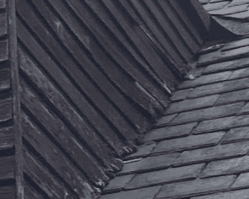 IMG 3324.PNG