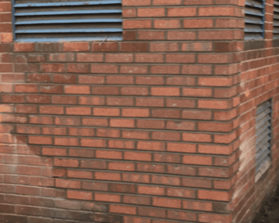 IMG 7225.PNG